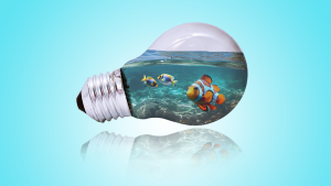 Photoshop - Ampoule